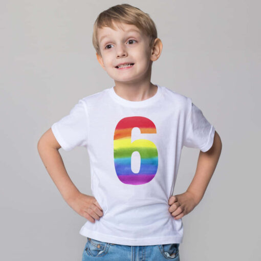 Birthday Rainbow Age Tshirt Birthday Rainbow Age Tshirt