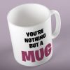 You're Nothing But A Mug